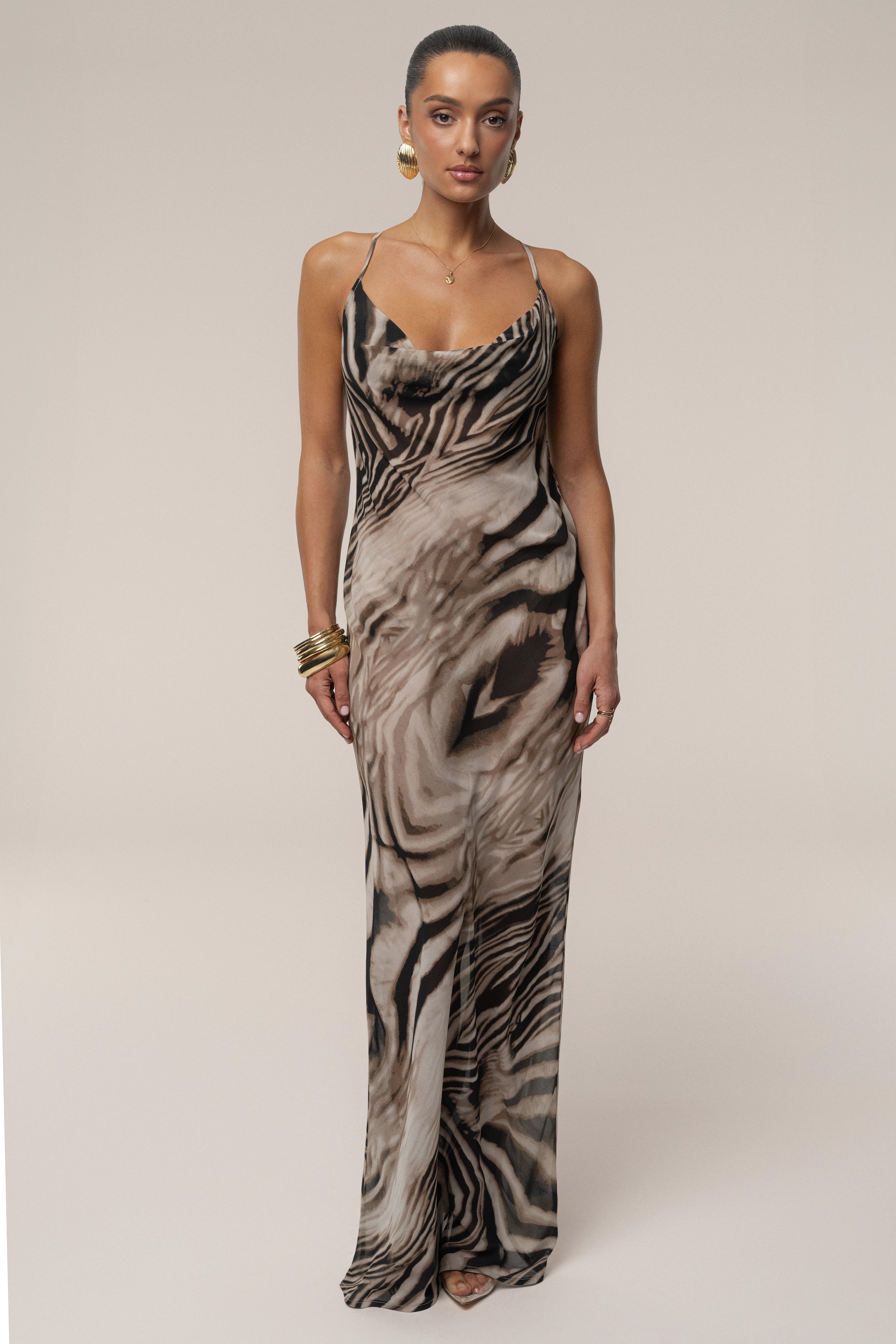 Brown Zebra Print Infinite Journey Maxi Dress