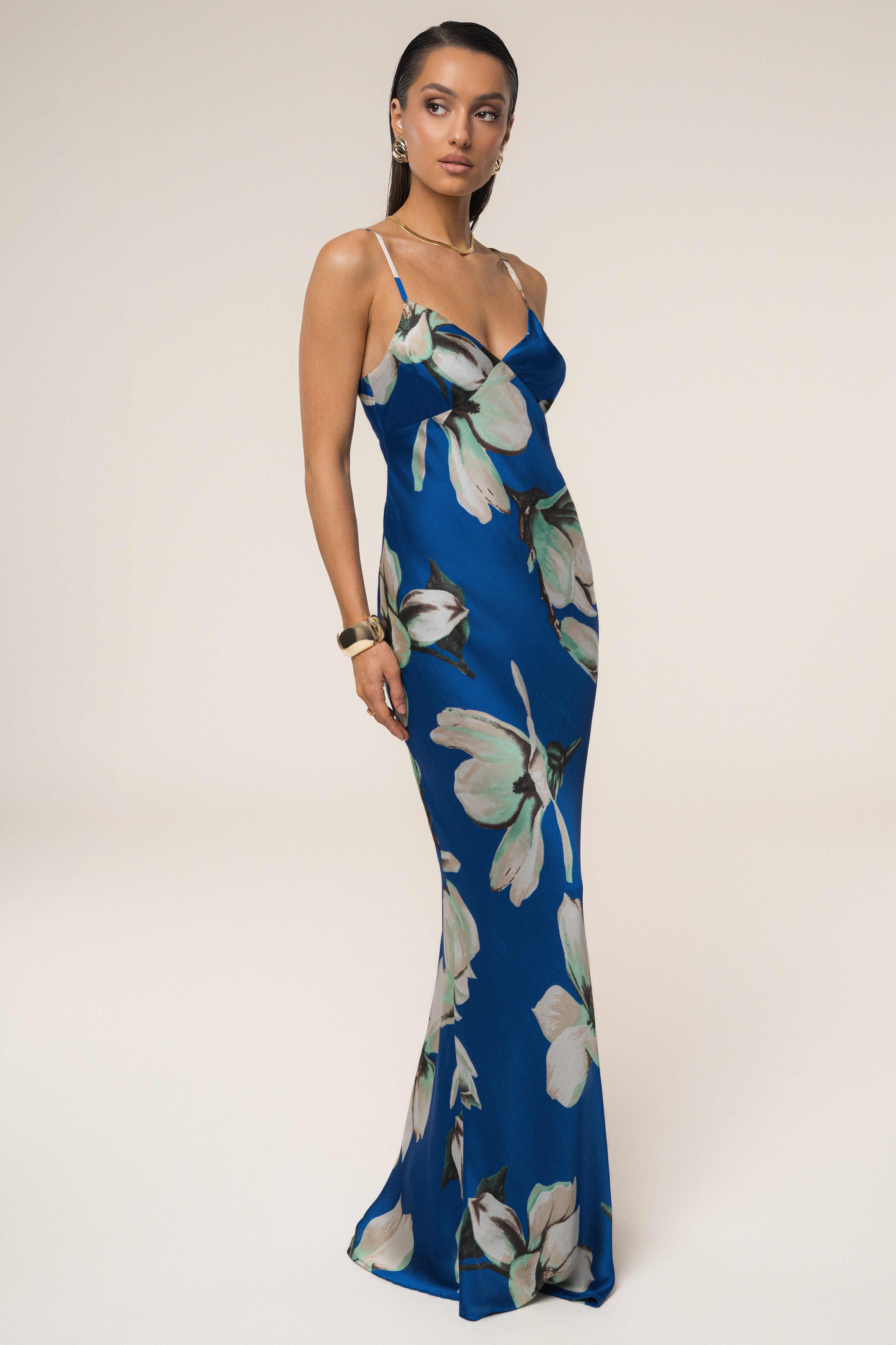 Blue Floral Azul Print Maxi Dress