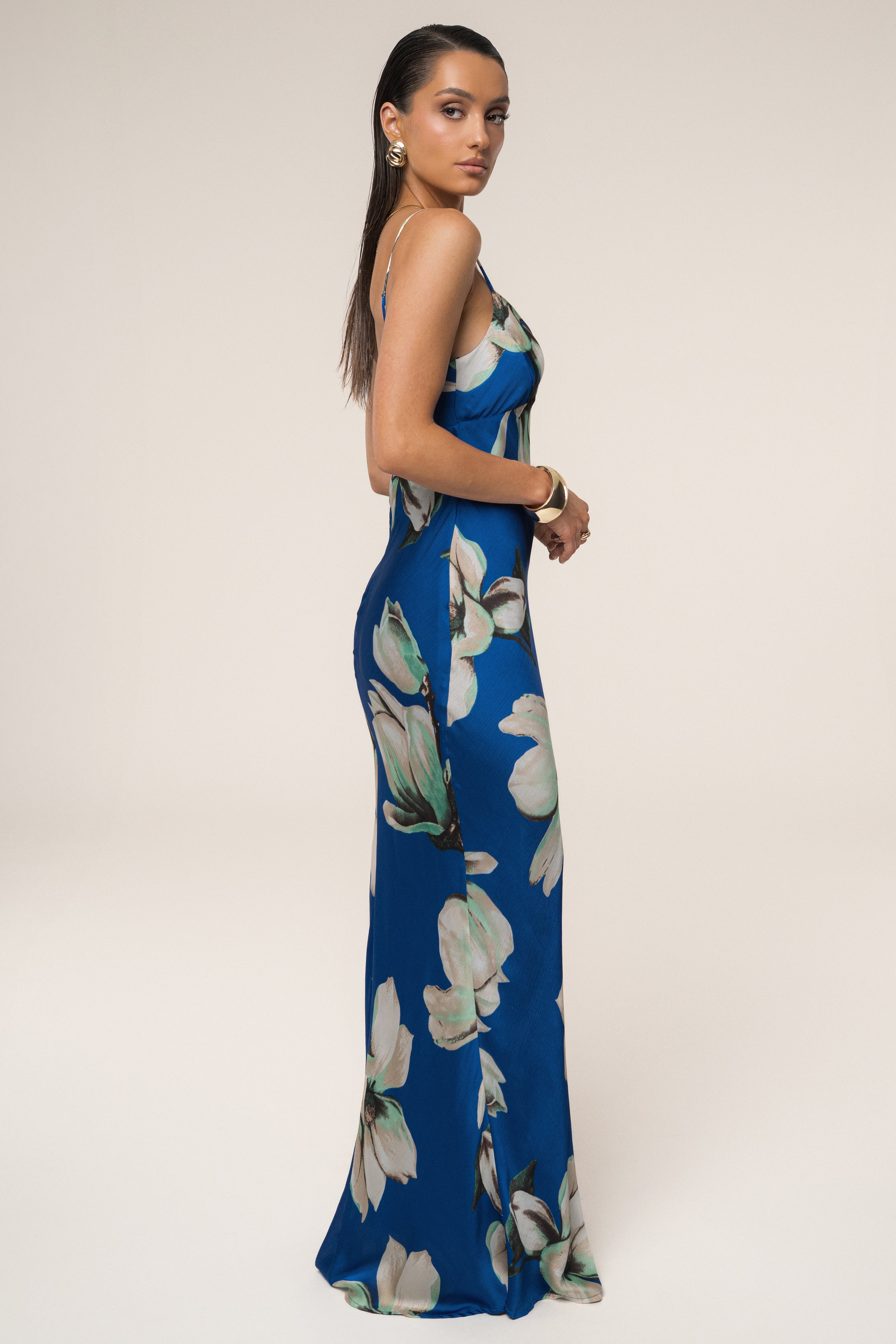 Blue Floral Azul Print Maxi Dress