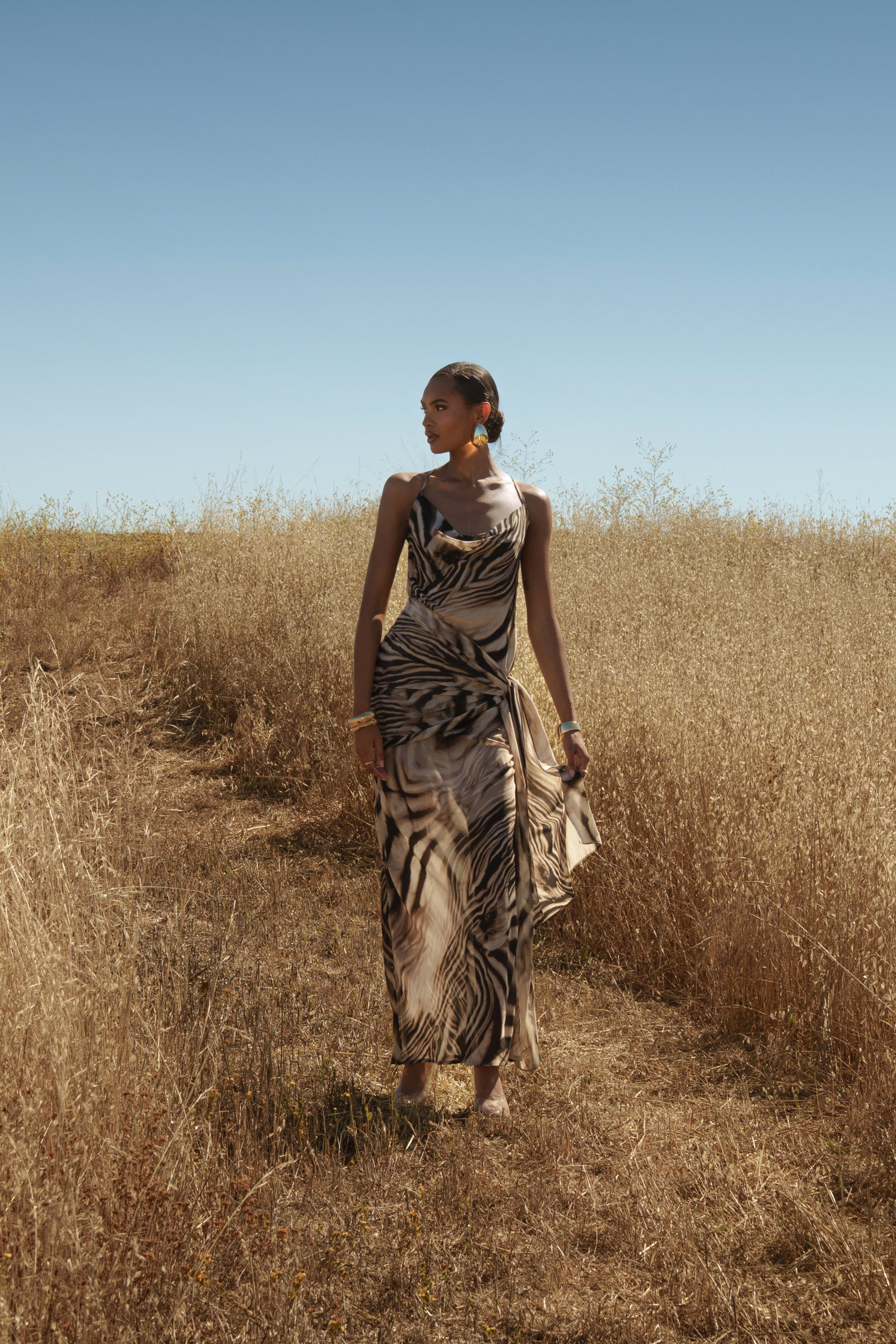 Brown Zebra Print Infinite Journey Maxi Dress